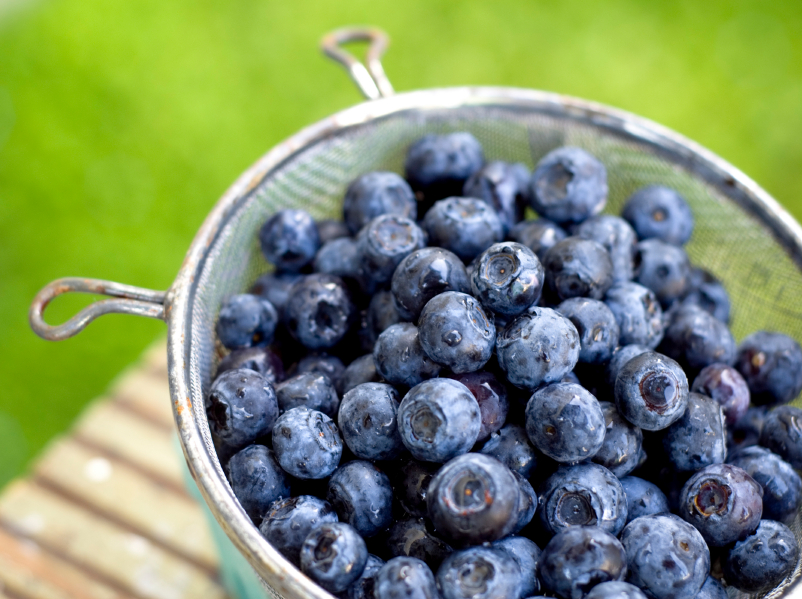 Blueberries may help to treat Parkinson’s