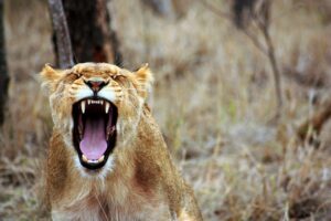 Could anger lead to early death?