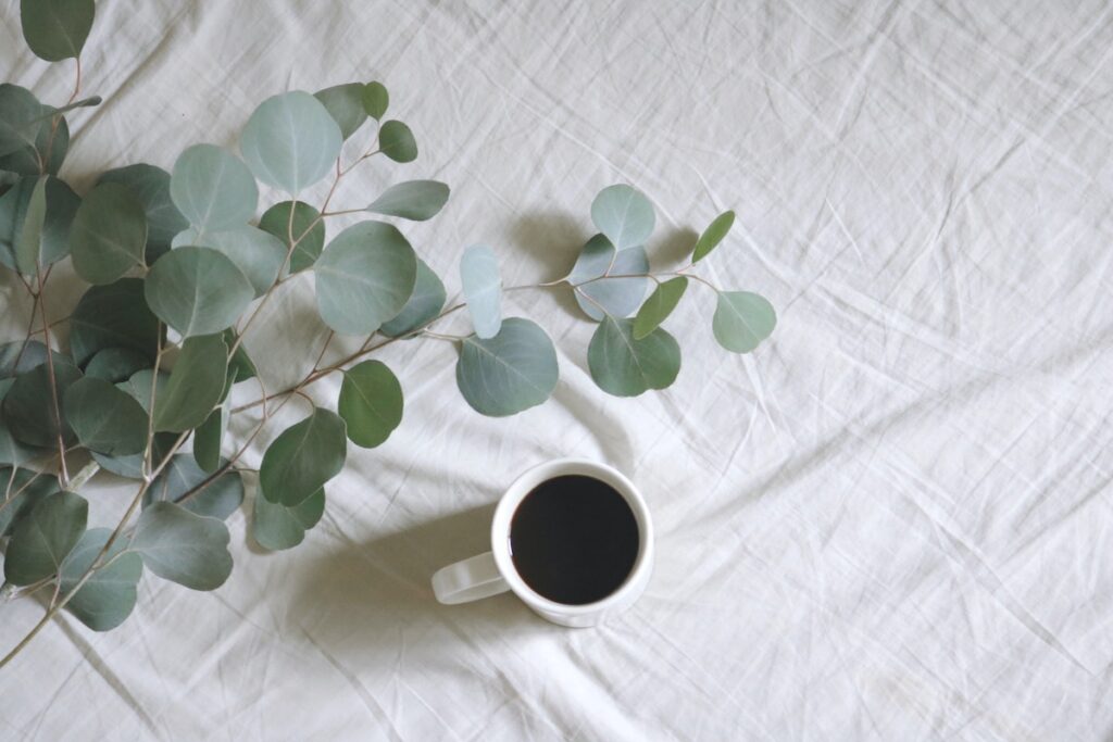 cup of coffee with plant