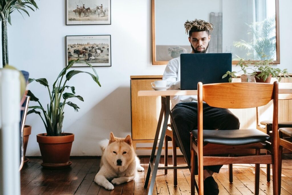 A man sits alone on his laptop, a dog on the floor next to him.