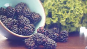 Boost your immunity