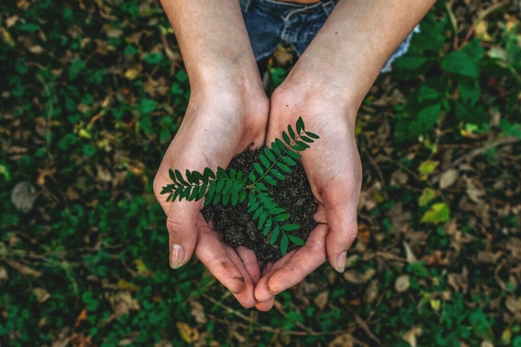 Woman holding small plant