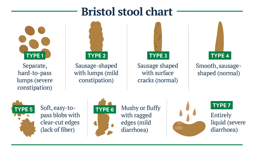 Bristol Stool Chart: The Different Types Of Poop GoodRx, 40% OFF