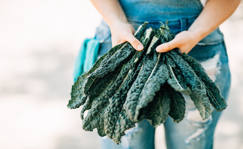 Person holding bunch of kale
