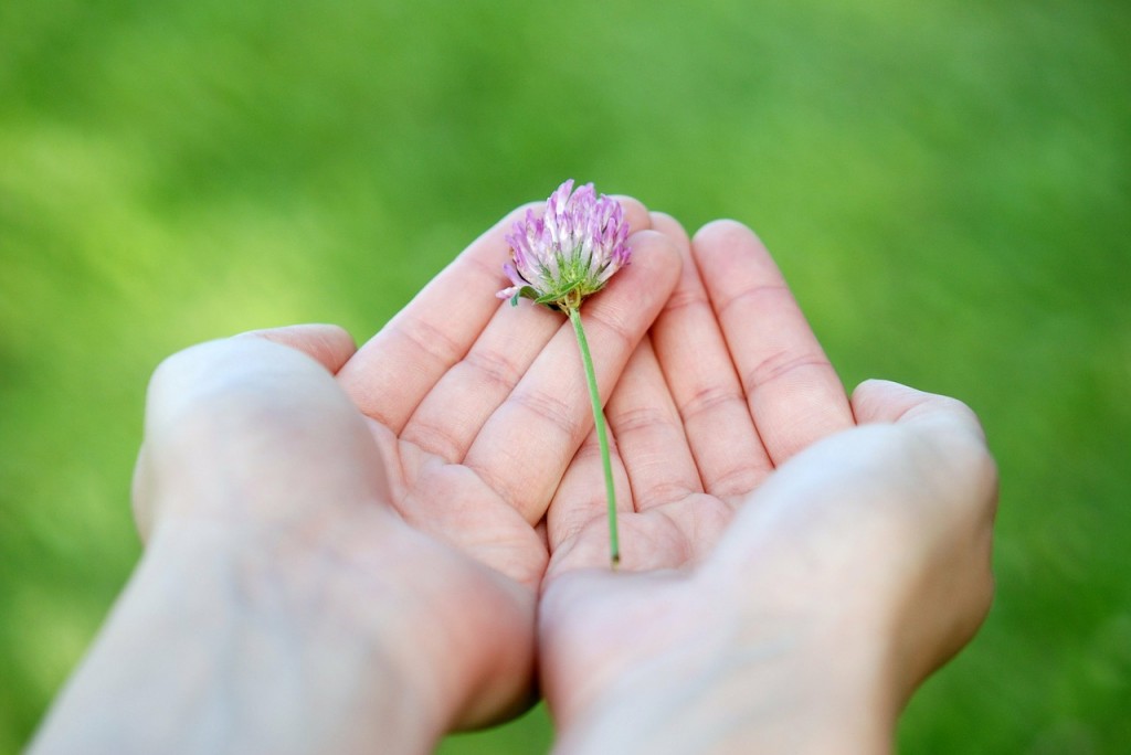 acupressure basics