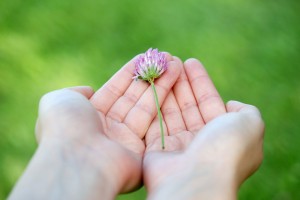 acupressure basics