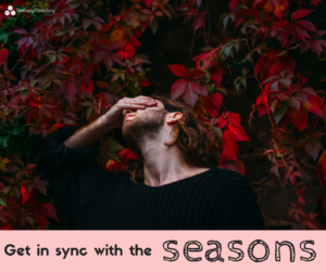 seasons