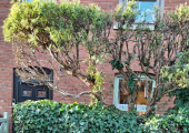 Turn Left into Driveway of Pagoda Counselling