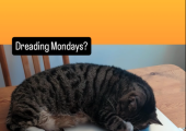 A cat is curled up on a laptop, hiding its face. The text asks "Dreading Mondays?"