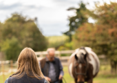 An example of a horse-assisted therapy activity