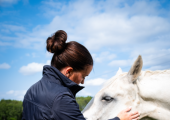 Equine assisted therapy 