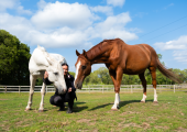Equine assisted therapy. 