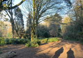 Shadow people walking