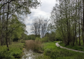 Parks, nature reserves, canal paths can all add a calm, natural setting to a session