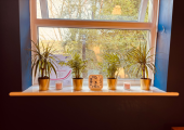 Room details