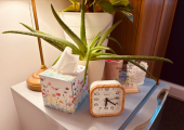Room details