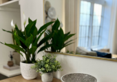 Therapy Room