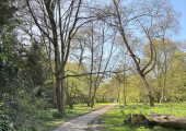 Walk and Talk