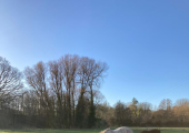 The view from the window