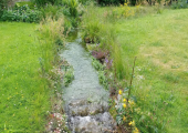 Natures therapy room