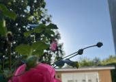 The therapy room is set in a beautiful, peaceful rural setting.