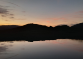 Reflections
