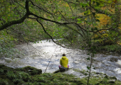 Sometimes I sit quietly in the woods