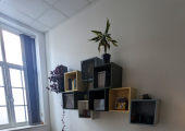 Counselling Room
