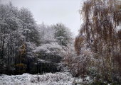 Working across the changes of the seasons brings new opportunities, new challenges and new insights