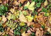 The changes you experience are often reflected in the passing of the seasons.