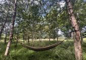 Example of outdoor hammock sessions