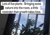 Plants
