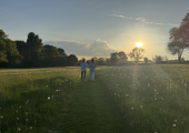 Walk & talk meadow
