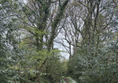 One of the walk & talk paths