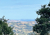 One of the views from my walk & talk therapy venue