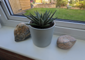 I love stones and rocks!