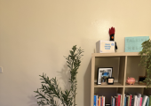 My calming counselling space