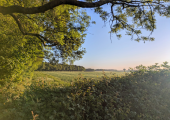 View from our farm