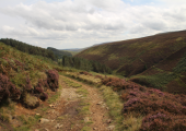 Walk and talk outdoor therapy in the Peak District