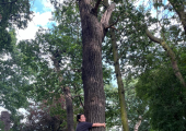 this image shows Annie hugging a huge tree surrounded by other trees in a forest.