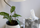 The space is designed with your comfort and needs at the forefront.