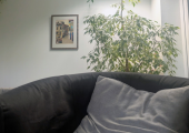 Consulting room in Brighton
