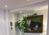 The cozy couch for couples or individuals at Rollswood cottage