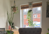 Therapy Space