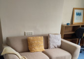 The couch with pillows and blanket and coffee table with small plant on it.