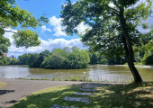 Walk-and-Talk therapy in Leazes Park