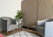 Two comfortable arm chairs and a house plant