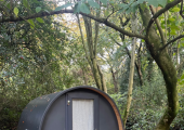 Therapy Pod at Forest Centre at Nebula Centre  in Carrington M31