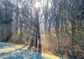 Walk and talk therapy near counselling room