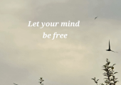 Willow Psychotherapy offers Counselling and Hypnotherapy